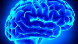 استروژن بر احتمال سکته مغزی در زنان تاثیر دارد