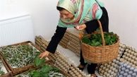  ۹۰درصد مشاغل خانگی در اختیار زنان است 