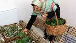  ۹۰درصد مشاغل خانگی در اختیار زنان است 