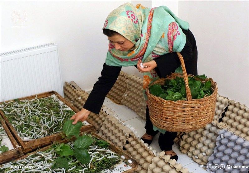 ۹۰درصد مشاغل خانگی در اختیار زنان است