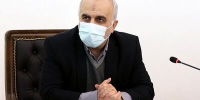 طرح درج قیمت تولیدکننده روی کالا یک آزمون و خطای بزرگی است