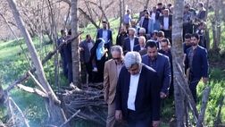تلاش برای جبران خسارت به درختان فندوق
