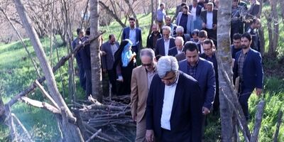 تلاش برای جبران خسارت به درختان فندوق