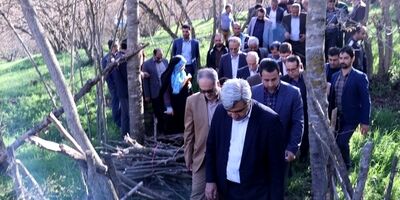 تلاش برای جبران خسارت به درختان فندوق