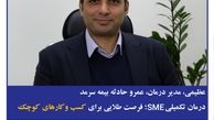 عظیمی، مدیر درمان، عمر و حادثه بیمه سرمد؛ درمان تکمیلی SME؛ فرصت طلایی برای کسب و کارهای کوچک
