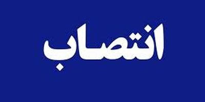 حضور پرشور خانواده بزرگ بیمه ایران در راهپیمایی ۲۲ بهمن
