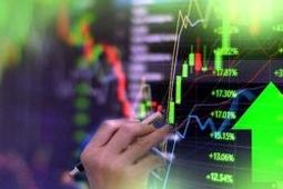 تحت مدیریت محمد حیدری؛ از درآمد سرمایه‌گذاری یک‌هزارمیلیاردی تا صدور ۳هزارمیلیاردتومانی بیمه‌نامه در بیمه کارآفرین