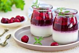 طرز تهیه پودینگ خوشمزه با سس آلبالو
