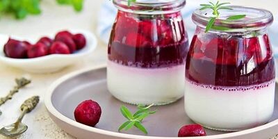 طرز تهیه پودینگ خوشمزه با سس آلبالو
