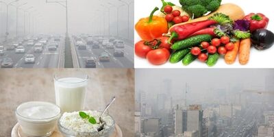 
چند توصیه تغذیه‌ای برای کاهش آسیب‌های ناشی از آلودگی هوا

