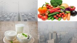 
چند توصیه تغذیه‌ای برای کاهش آسیب‌های ناشی از آلودگی هوا

