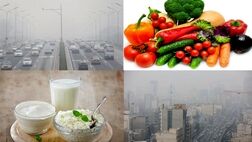 
چند توصیه تغذیه‌ای برای کاهش آسیب‌های ناشی از آلودگی هوا

