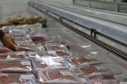 ثبت سفارش واردات گوشت منجمد از امروز آغاز شد
