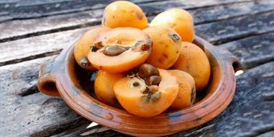 راز سلامتی و شادابی در یک میوه کوچک؛ از تقویت قلب تا کنترل قند خون