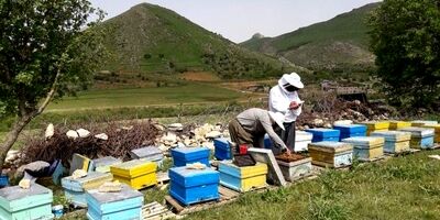 بخش اجرایی کشور در تامین حق بیمه مهم خود با مشکل مواجه است