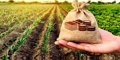  پرداخت غرامت بیمه کشاورزی به خسارت‌دیدگان ادامه دارد 