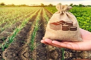 حق بیمه سهم کشاورز در قانون بودجه ۱۴۰۵ درج شد
