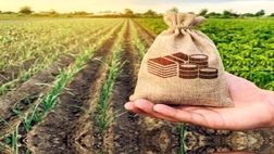 حق بیمه سهم کشاورز در قانون بودجه ۱۴۰۵ درج شد
