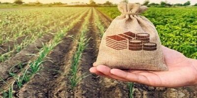  پرداخت غرامت بیمه کشاورزی به خسارت‌دیدگان ادامه دارد 
