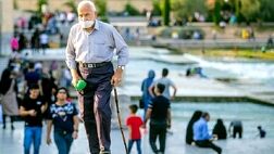 بیش از ۵۳ درصد حقوق‌بگیران صندوق بازنشستگی مدرک دانشگاهی دارند
