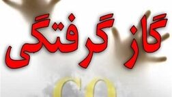 گازگرفتگی در البرز 8 نفر را به کام مرگ کشاند