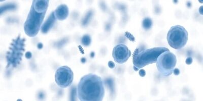 «میکروبیوم» چیست؟
