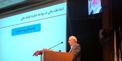 نقش دولت در سرمایه‌گذاری‌ها به بیش از سه درصد نرسیده است