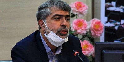 نماینده مجلس: مجلس حامی جدی صنعت خودرو است/ تأکید بر نقش موثر سایپا در رونق تولید کشور