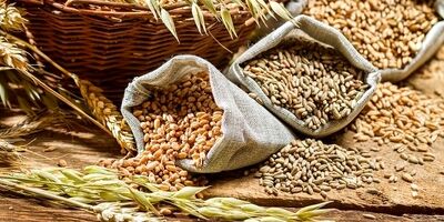 دومینوی کاهش شاخص قیمت جهانی مواد غذایی