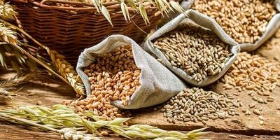دومینوی کاهش شاخص قیمت جهانی مواد غذایی