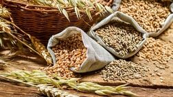 دومینوی کاهش شاخص قیمت جهانی مواد غذایی