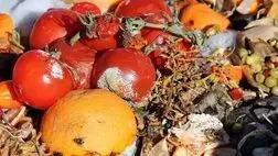واقعی شدن قیمت‌ها منجر به کاهش ۳۰ درصدی ضایعات خواهد شد