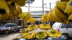 قیمت موز در بازار کاهشی شد