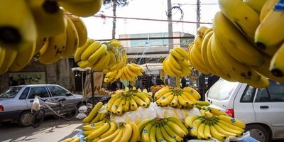 قیمت موز در بازار کاهشی شد