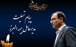پیام تسلیت مدیرعامل بیمه البرز
