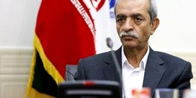 می‌خواهند بخش خصوصی فقط مجری باشد