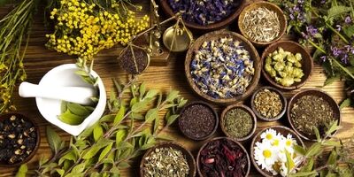 تولید داروهای گیاهی بدون گیاه