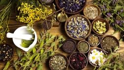 تولید داروهای گیاهی بدون گیاه