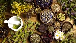 تولید داروهای گیاهی بدون گیاه