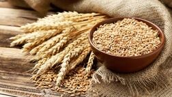 بزرگ‌ترین تولیدکننده گندم و برنج دنیا مشخص شد / جایگاه ایران کجاست؟