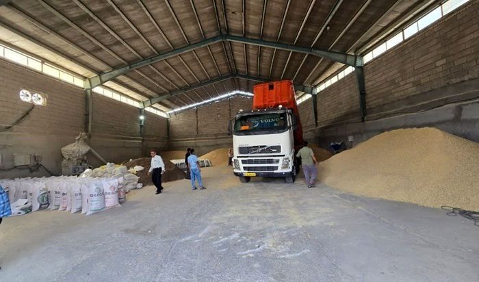 کشف بیش از ۳۷ هزار تن نهاده دامی احتکاری از ۶ شرکت متخلف
