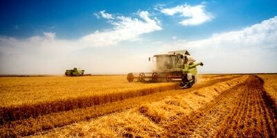 بازرگانی دولتی ۳.۵ میلیون تن ثبت سفارش انجام داد