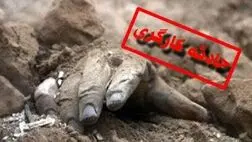 ناتوانی بیمه مسئولیت مدنی کارفرمایی در کاهش حوادث شغلی