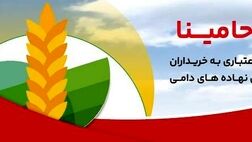 "حامینا" محصول جدید بانک ملت برای تامین مالی نهاده های دامی


