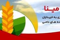 "حامینا" محصول جدید بانک ملت برای تامین مالی نهاده های دامی


