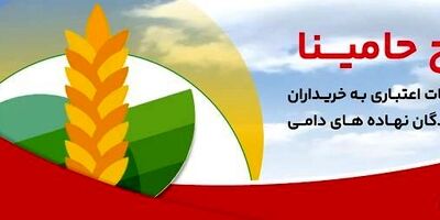 تمدید غیرحضوری مهلت تاریخ انقضای کارت های الکترونیک بانک ملت