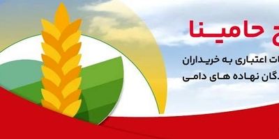 گام بلند بانک ملت در عرصه تامین مالی با عرضه محصول جدید «تیما»/ 5 خط کسب و کاری مهم کشور تامین مالی می شوند

