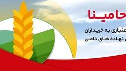 "حامینا" محصول جدید بانک ملت برای تامین مالی نهاده های دامی

