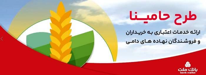 "حامینا" محصول جدید بانک ملت برای تامین مالی نهاده های دامی

