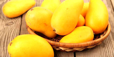 امکان خرید میوه سال نو با کالا برگ فراهم است
